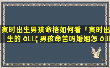 寅时出生男孩命格如何看「寅时出生的 🐦 男孩命苦吗婚姻怎 🐞 么样」